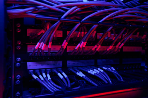 Closeup of patch panel with power cables connected to network server ports